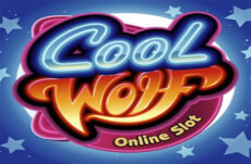 Cool Wolf