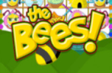 The bees